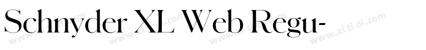 Schnyder XL Web Regu字体转换